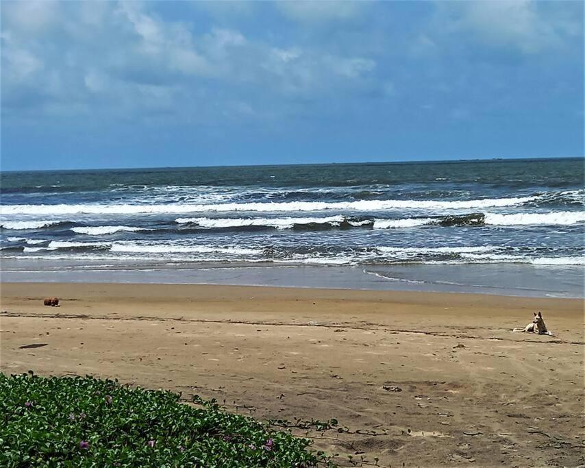 Cockerel Homestay - Traditional Beach Village - Goa Canacona Eksteriør billede