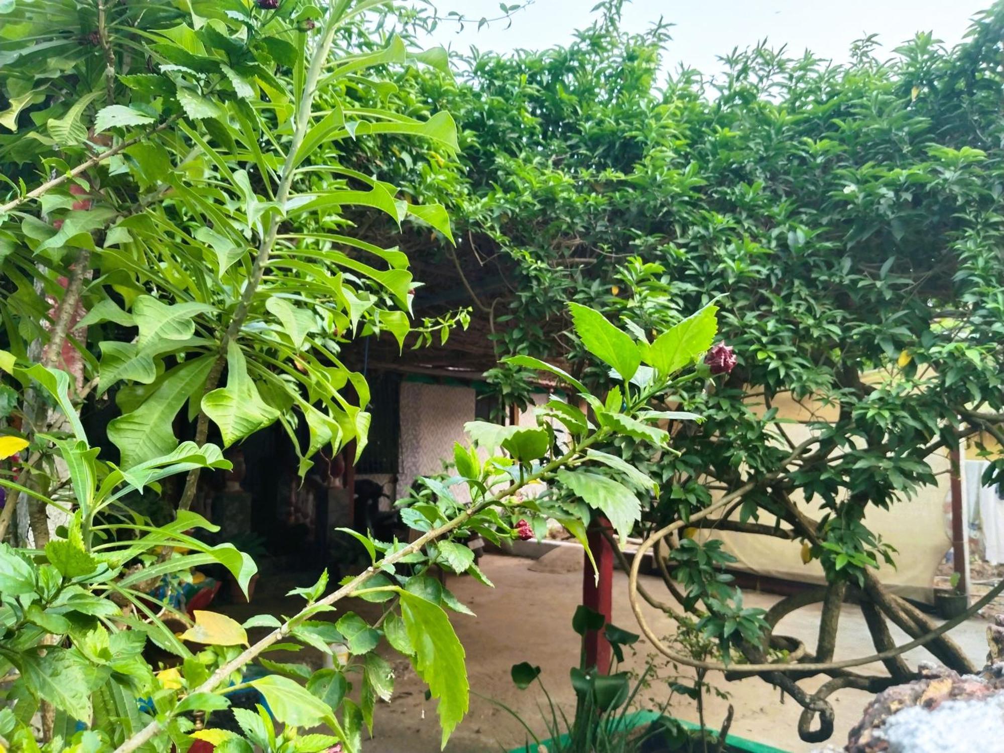 Cockerel Homestay - Traditional Beach Village - Goa Canacona Eksteriør billede